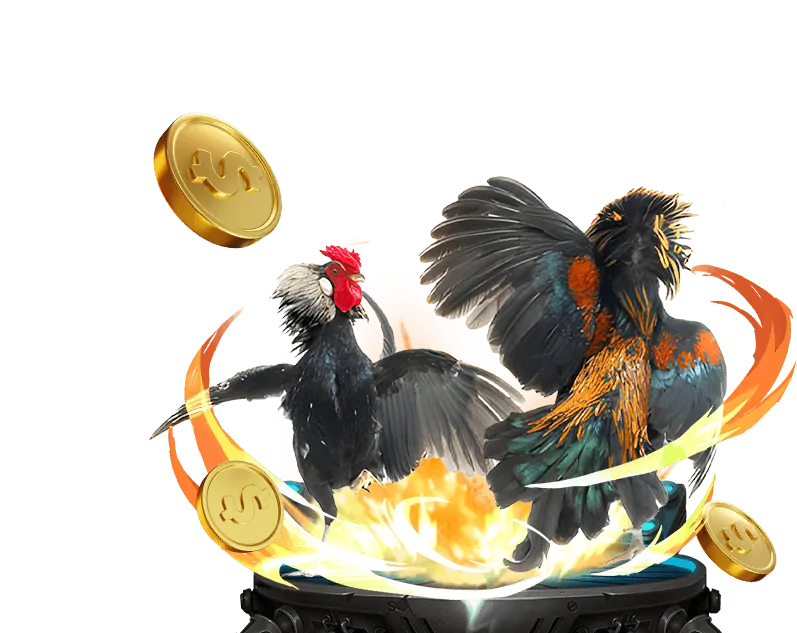 Mẹo chơi cá cược an toàn tại sgd777 casino