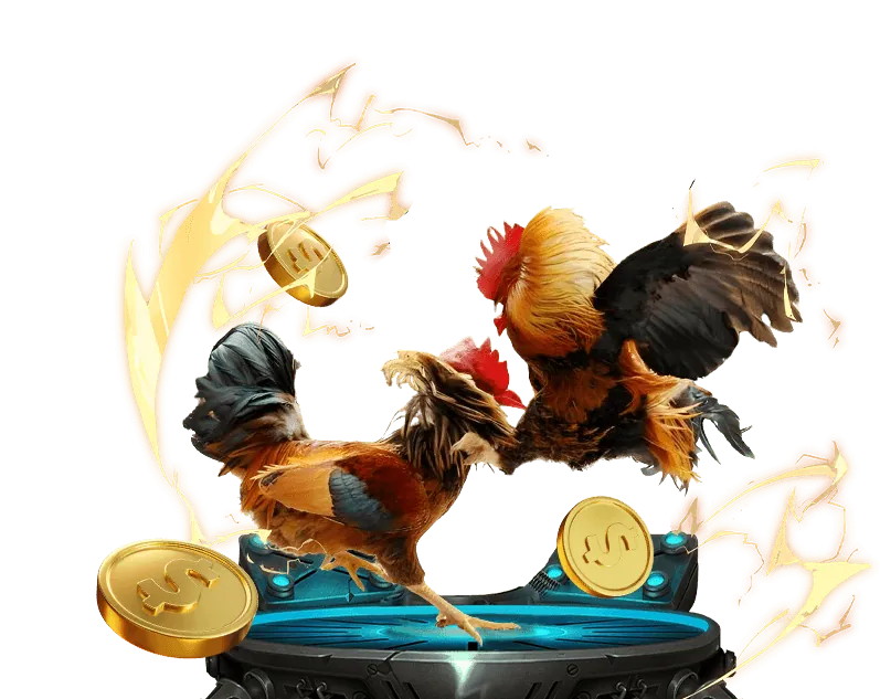 Cá cược bóng đá sgd777